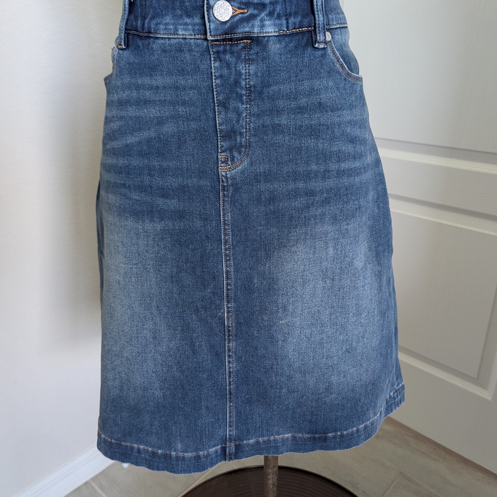 Soft Surroundings Blue Denim Mini Skirt